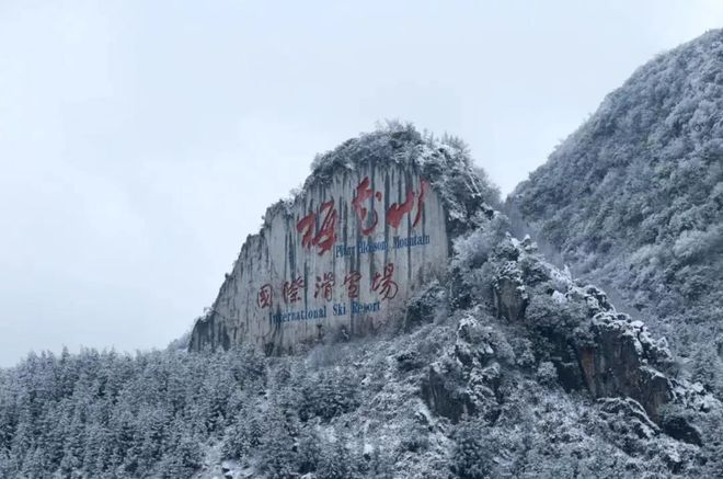 水城特色美食小吃_水城县美食_水城的美食