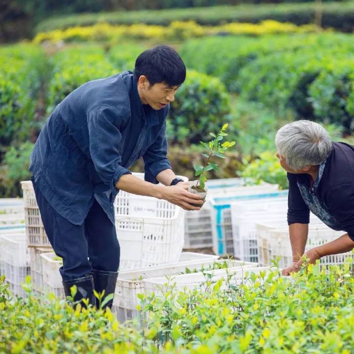 小品咖啡台词_小品咖啡厅_咖啡豆小品